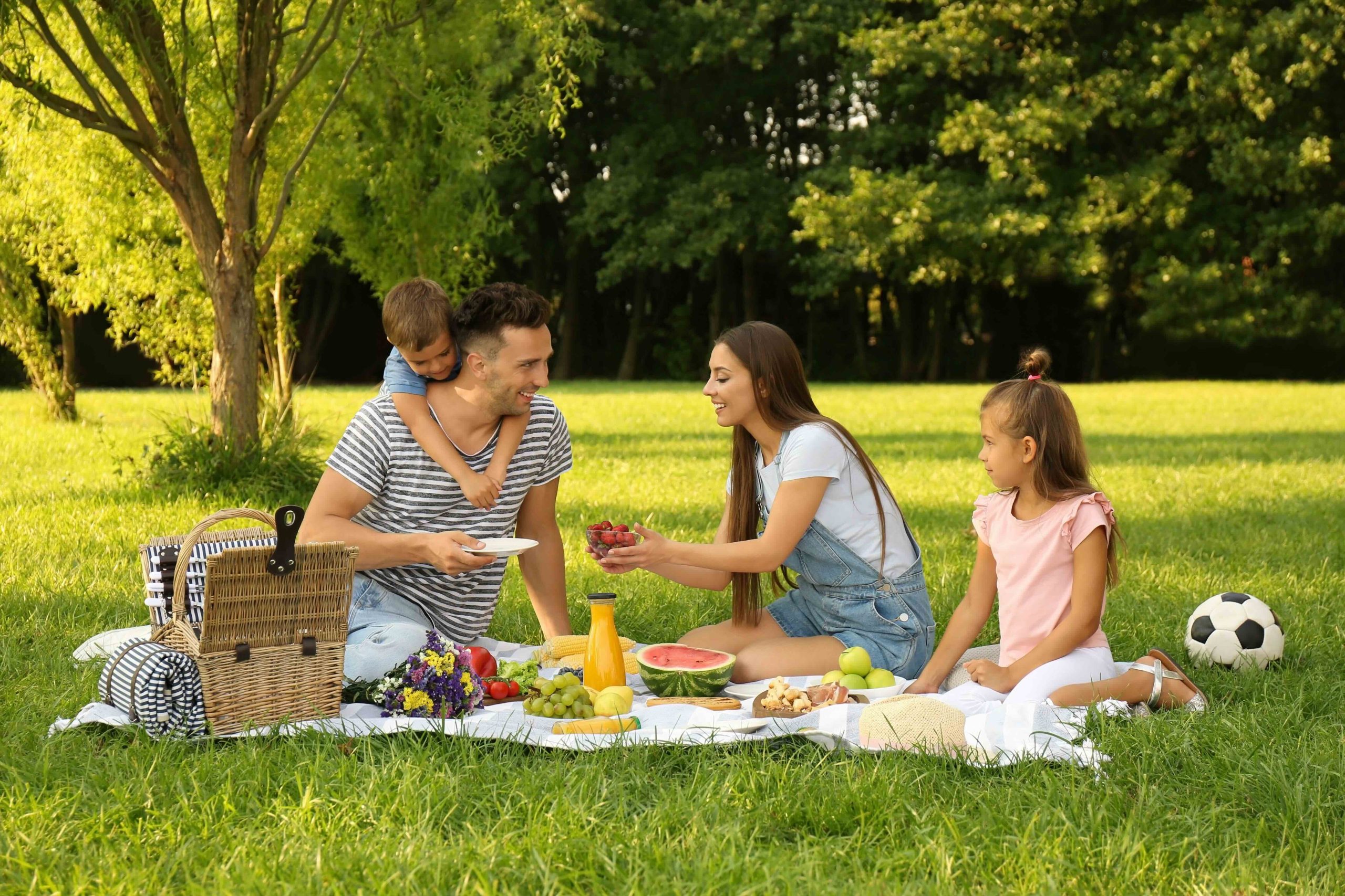 Happy,Family,Having,Picnic,In,Park,On,Sunny,Summer,Day