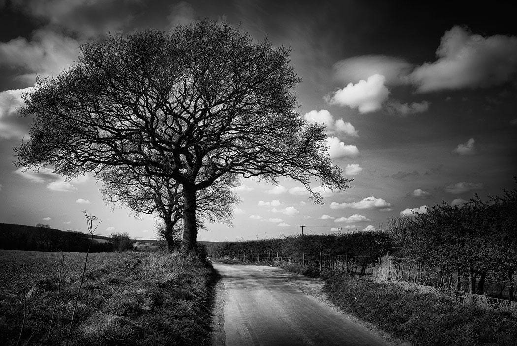 black and white photo: Small country lane in Kent, England, UK