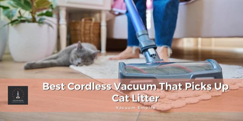 Can You Vacuum Cat Litter: Safe Tips for a Cleaner Home