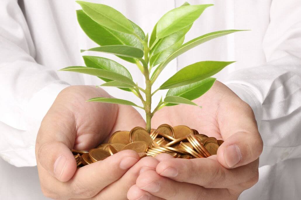 egy ember keze, amiben pénzt és kis növényt tart a bőség jelképeként