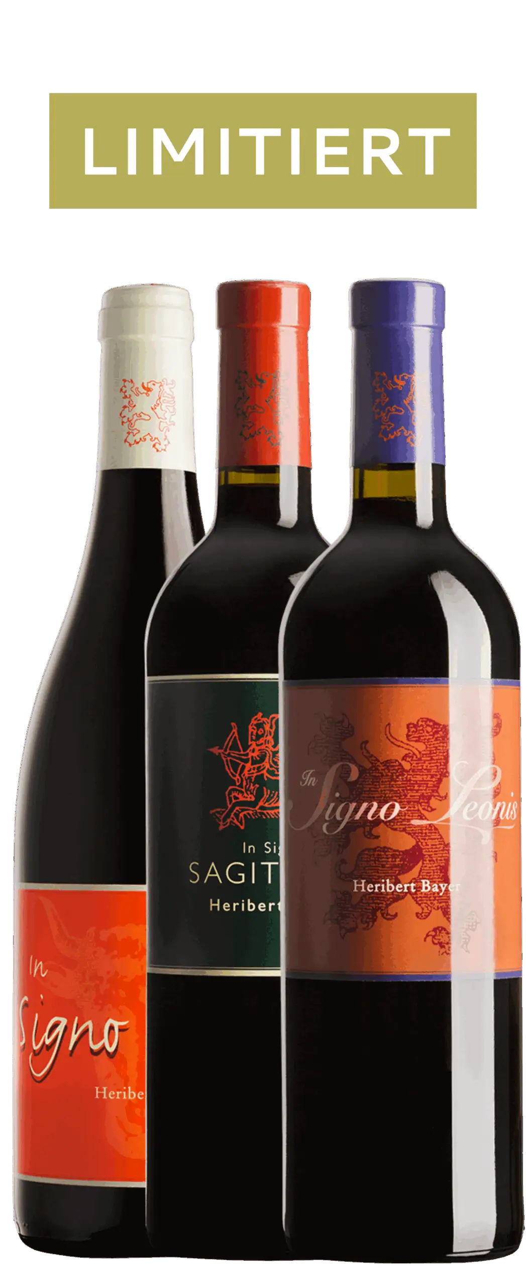 Pinot Noir, Cuvée und Blaufränkisch aus dem Privatkeller für die Festtage