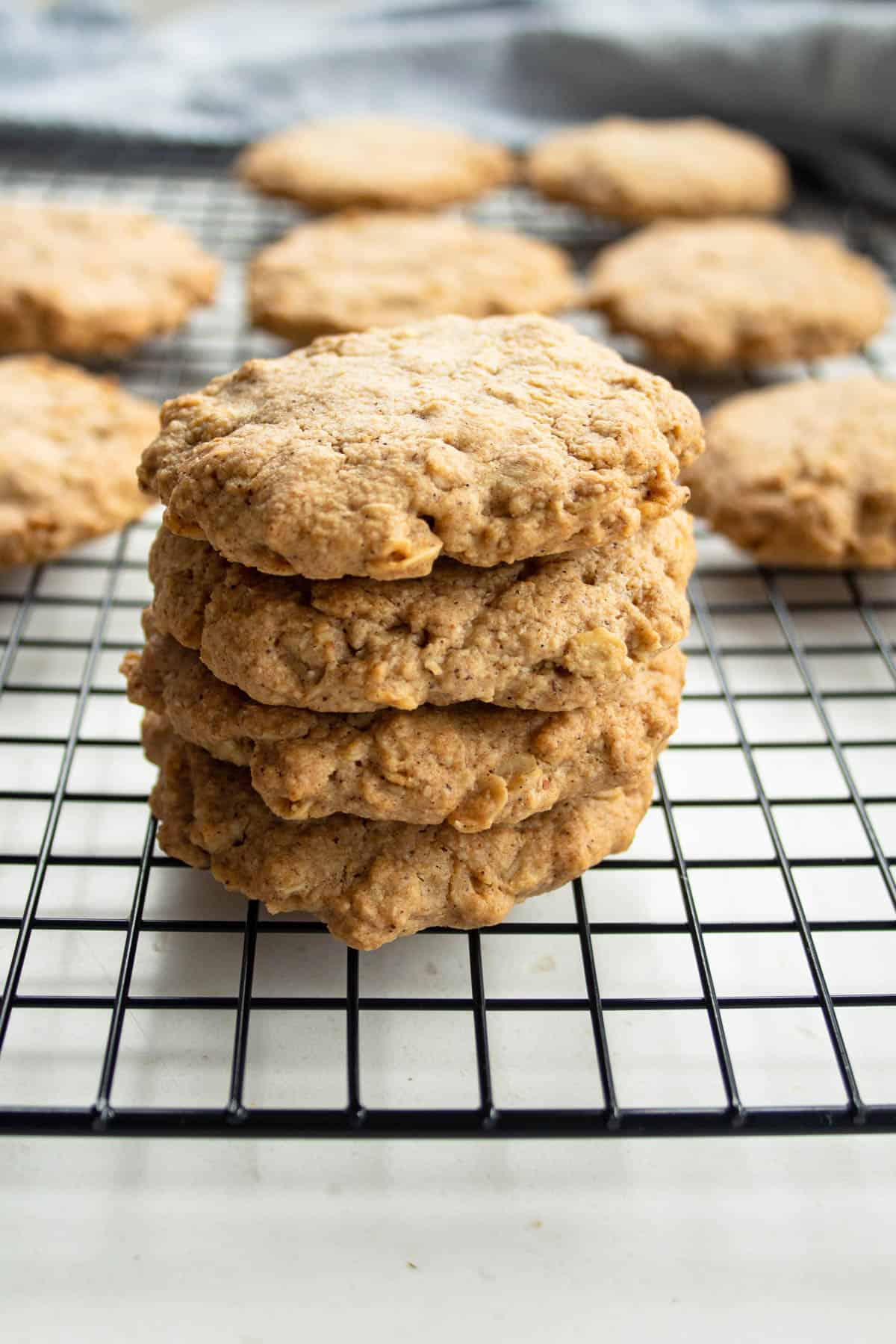 Simple Sugar Free Oat Biscuits