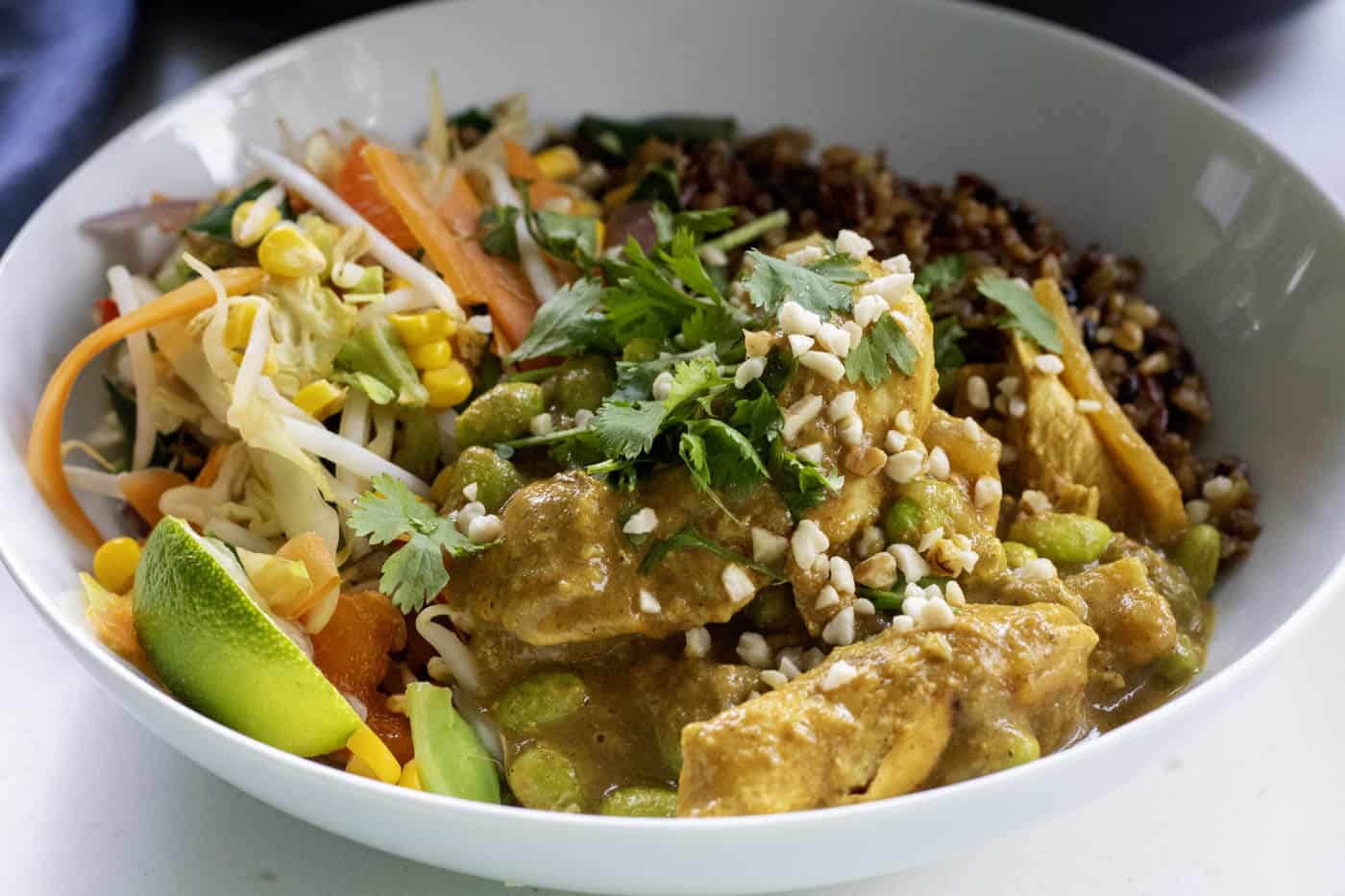 A closeup of a bowl with sloww coooked satay chicken, grains, and vegetables garnished with cilantro and peanuts. 