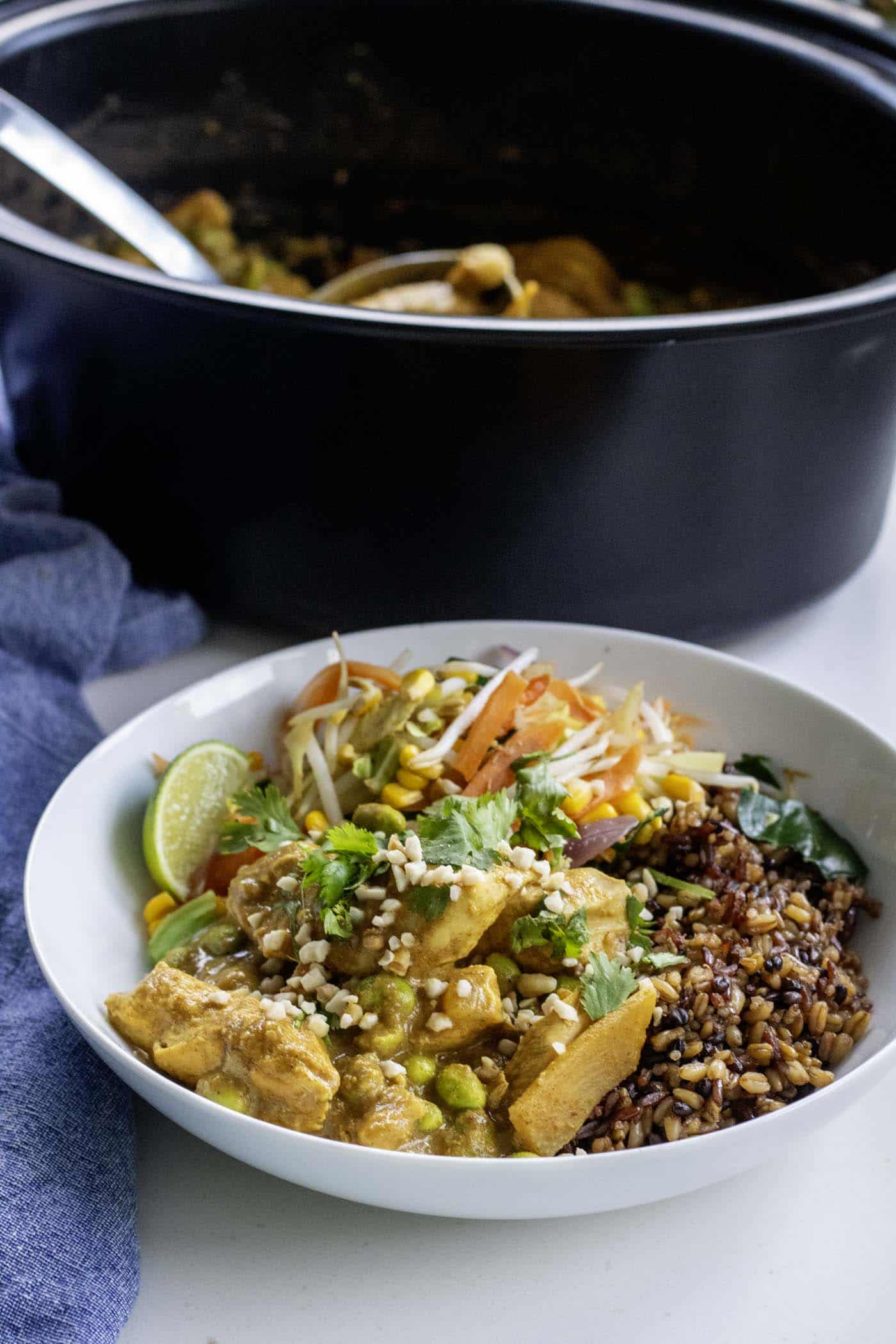 A bowl with satay chicken curry, grains, and vegetables garnished with cilantro and peanuts. A slow cooker dish and ladel is in the background.