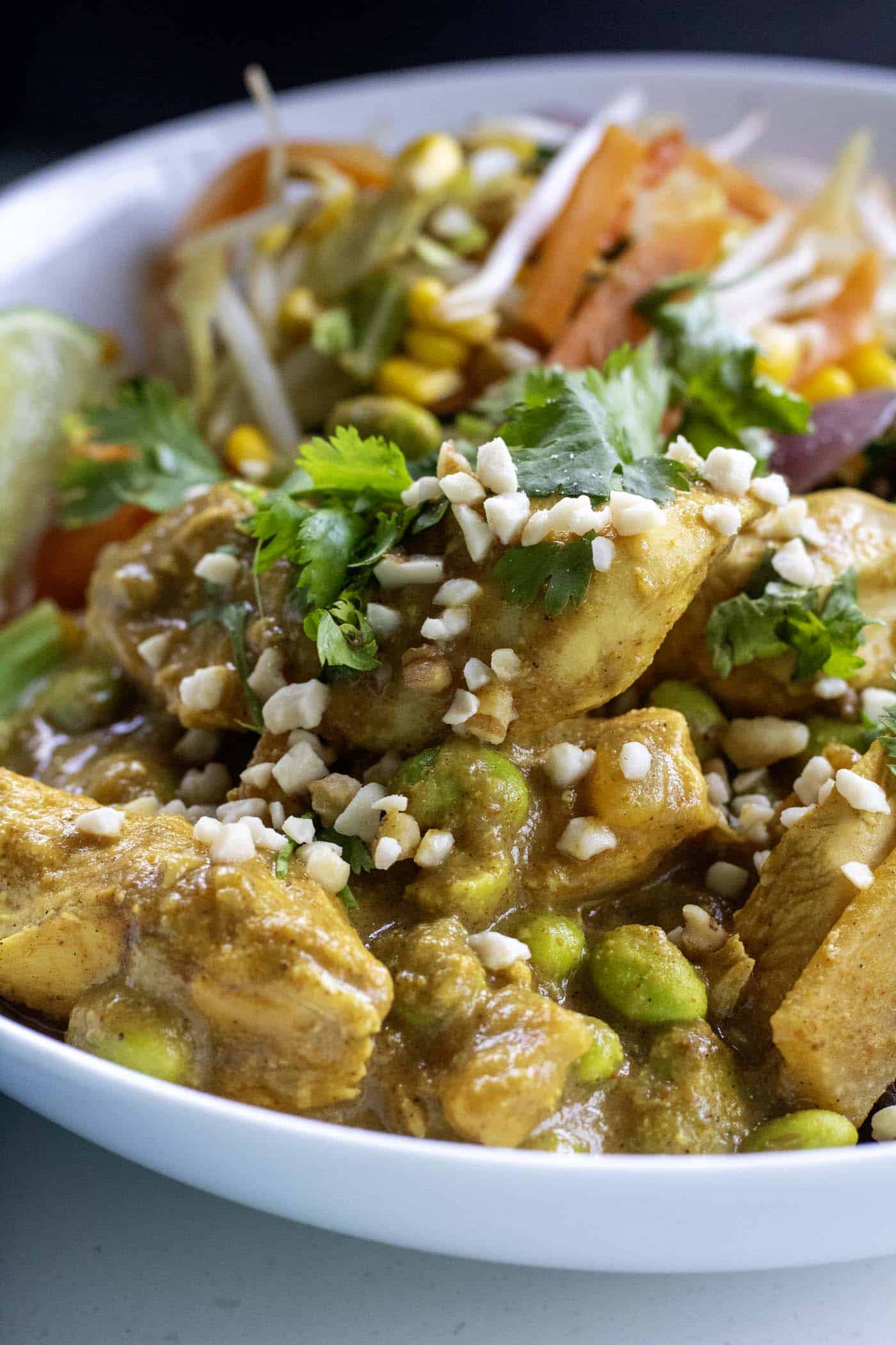 A closeup of a bowl with slow cooked satay chicken, grains, and vegetables garnished with cilantro and peanuts. 