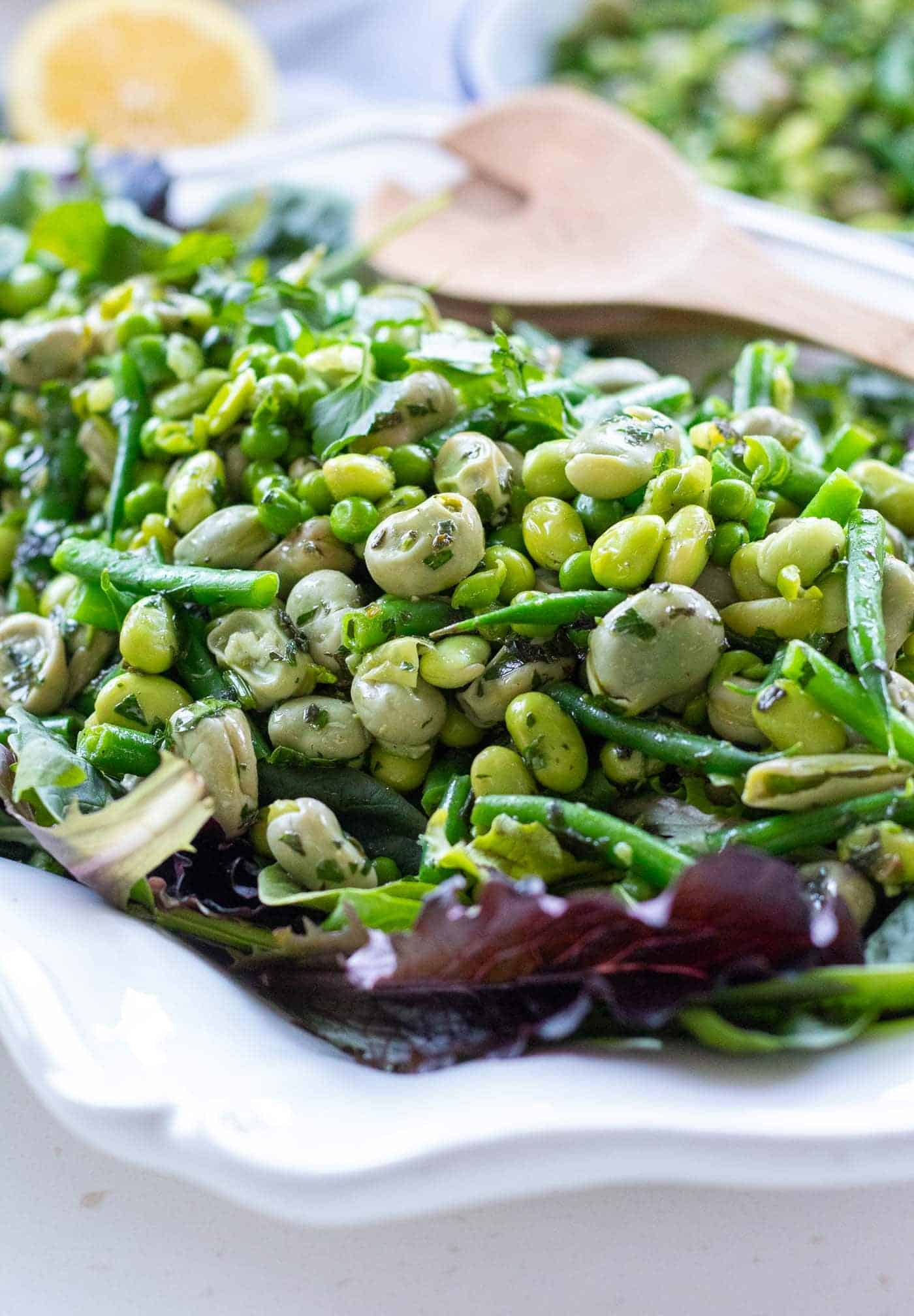 Herby Green Bean Salad With Edamame, Broad Beans, Peas and Fine Beans