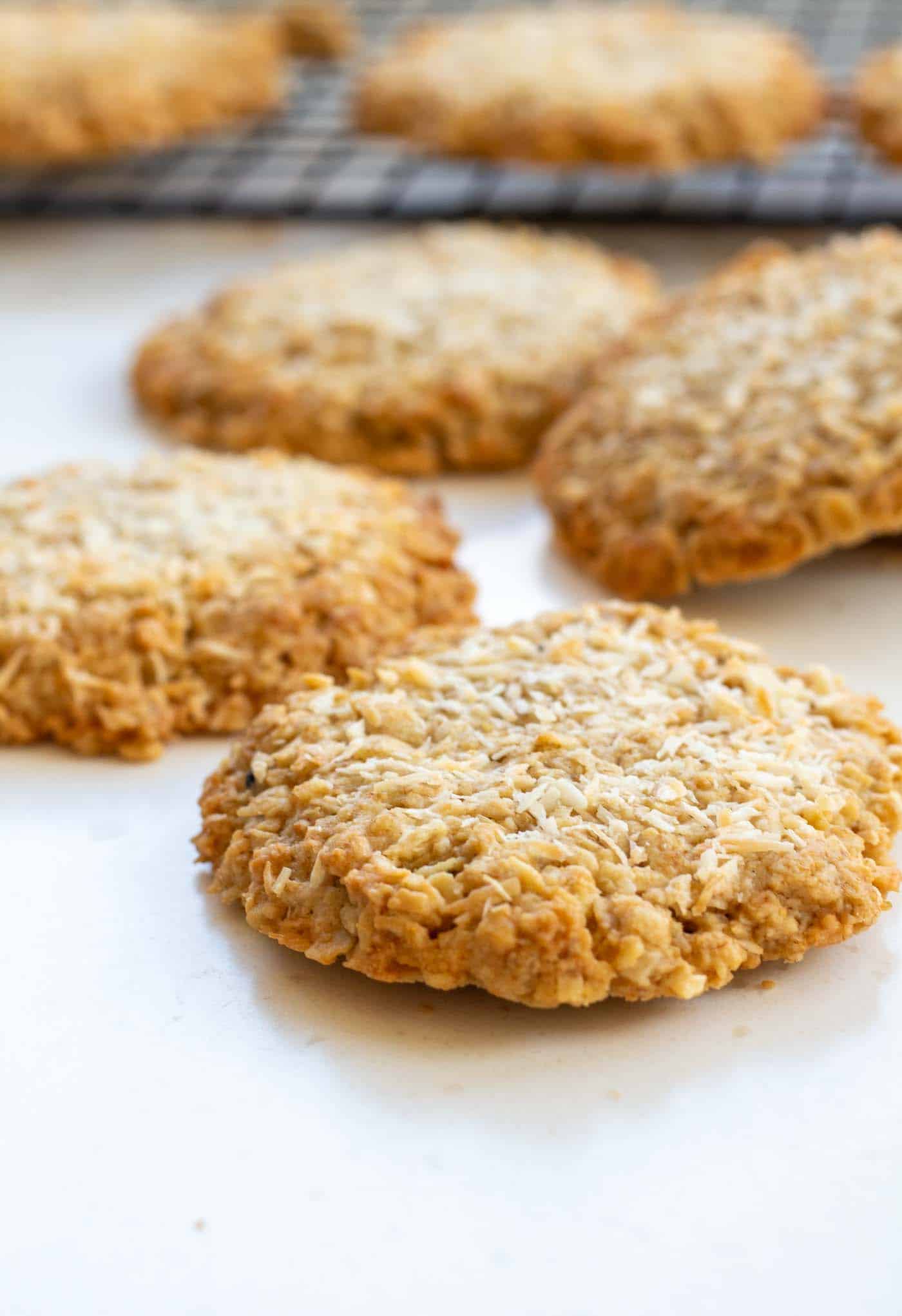 Coconut Oat Cookies – Sugar Free and Diabetes Friendly