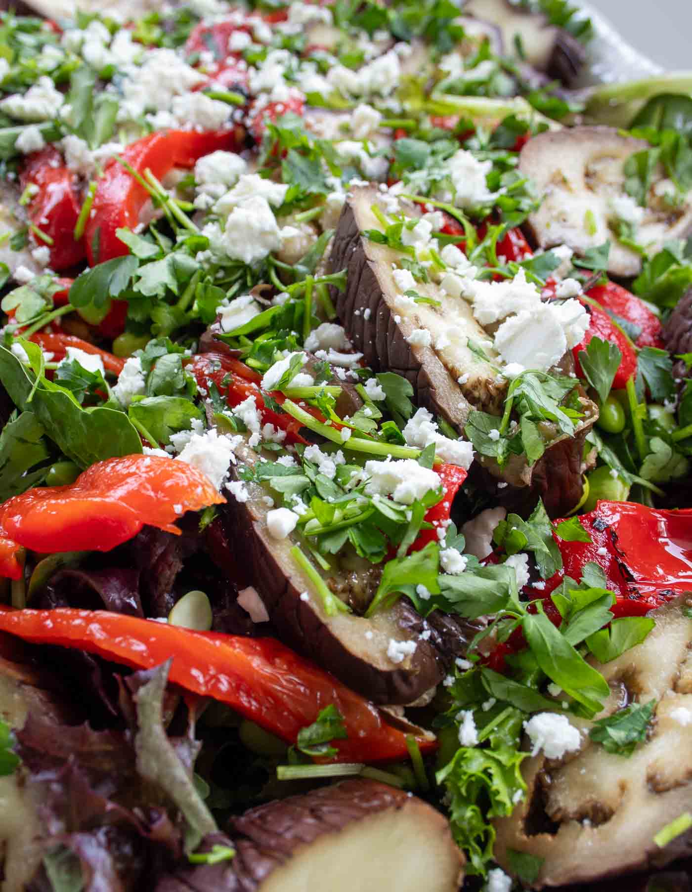 a closeup of a colorful healthy summer salad with roasted aubergine, sliced roasted red peppers, green beans, and mixed lettuce leaves, all topped with feta cheese and chopped parsley, showcasing fresh ingredients.