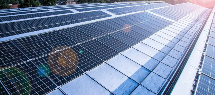 Merino Wolle Natural Resources, Wundersocks und die Umwelt