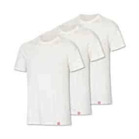 Mens T-Shirt Merino Wool