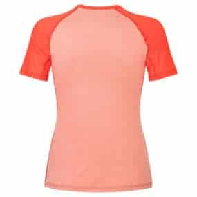 womens shirt short sleeve merino wool two colors Coral Grapefruit raglan back