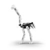 The Ostrich - Image 2