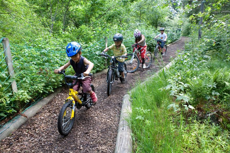 boys mountain biking shorts