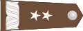 Генерал дивизии
