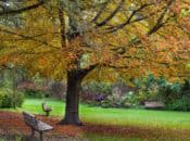San Francisco Botanical Garden's Free Day (2nd Tuesdays)