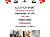 Andrea's Dream Rescue Adoption Event (Castro)