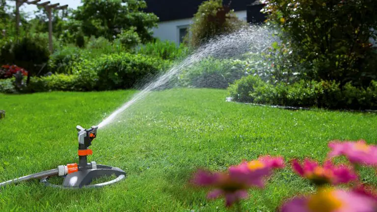 5 Best Impact Sprinkler Review And Complete Buying Guide 2021 ...