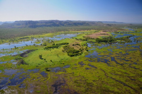 Kakadu “underwater” in less than a century, report finds - Cosmos Magazine