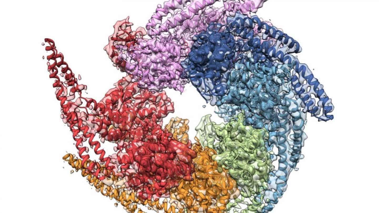 What Do Chaperone Proteins Do