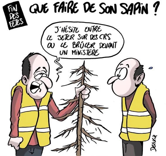 Le Best Of Des Dessins De Presse Francois Pelletant