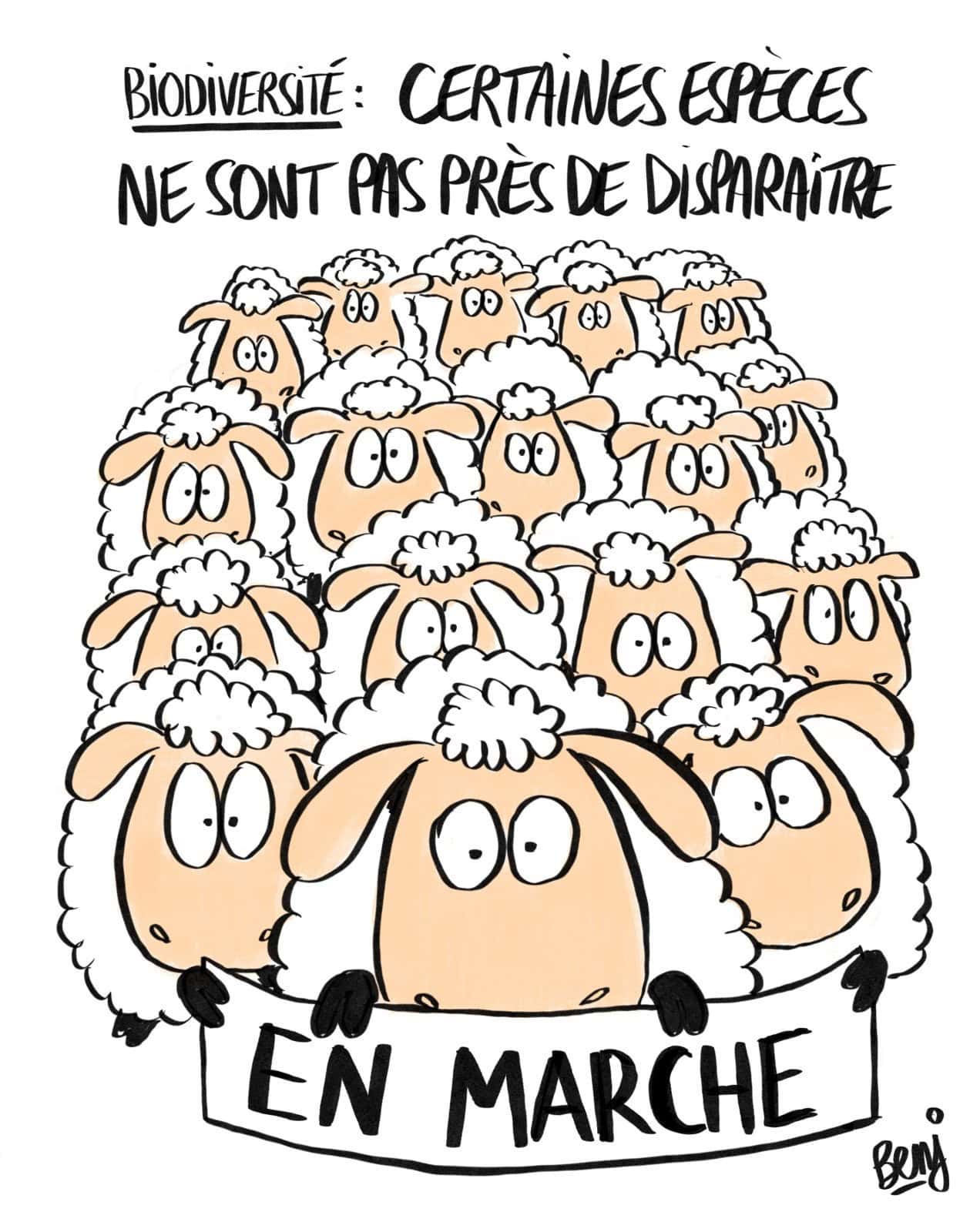 10 Nouveaux Dessins De Presse Francois Pelletant