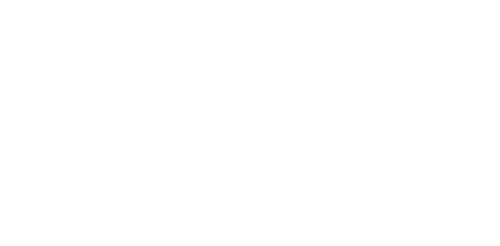 Entry Level Handheld 3D Scanners 9 logo calibry white