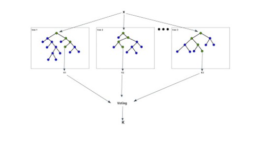 Random Forest