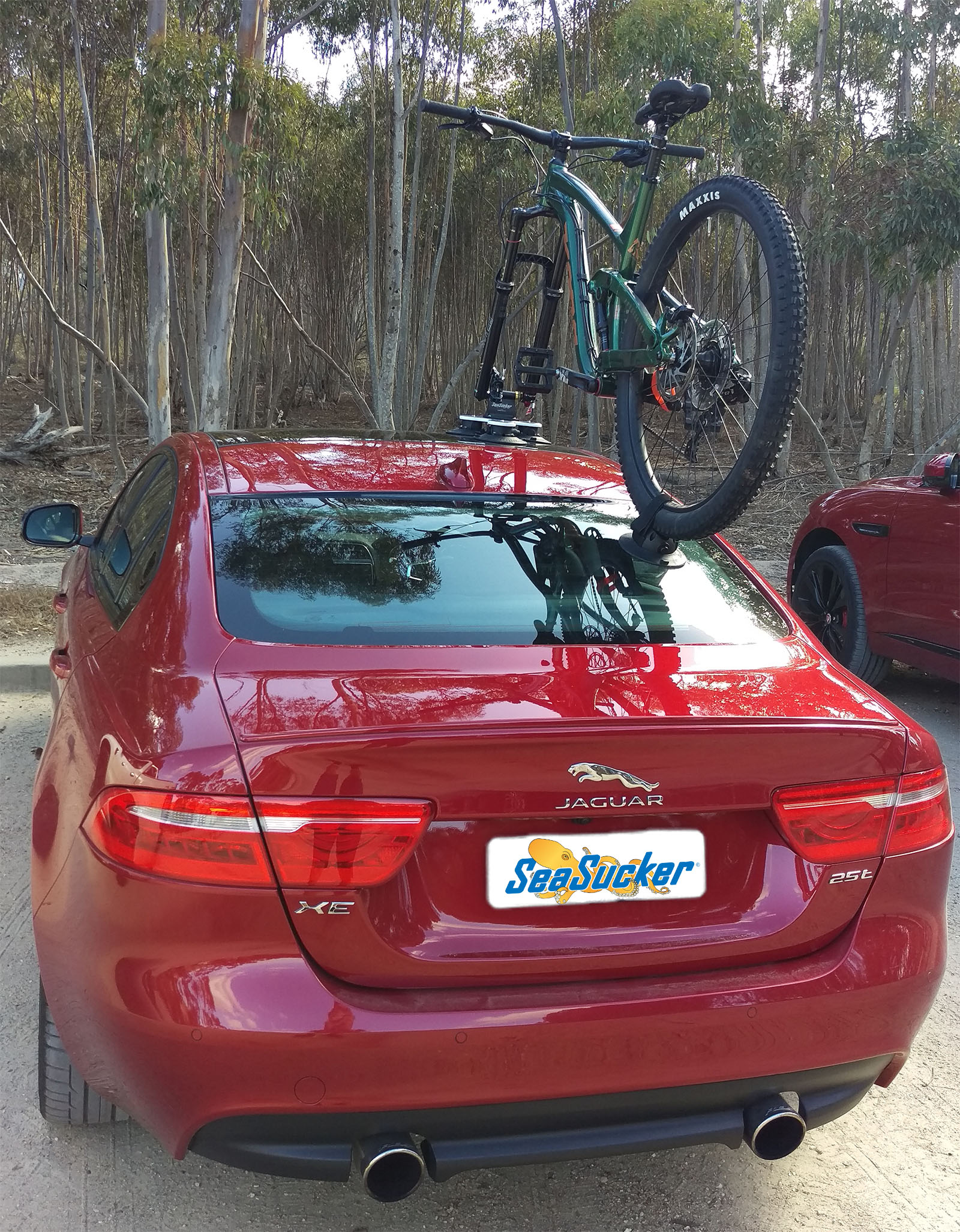 Jaguar XE Bike Rack SeaSucker Down Under
