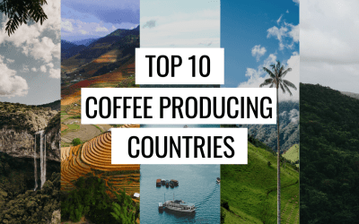 Where in The World is Coffee Produced?