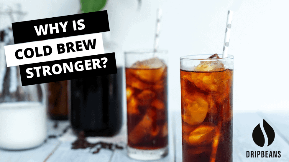 Why is Cold Brew Coffee Stronger? DripBeans