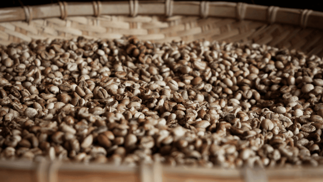 raw coffee beans in a big container
