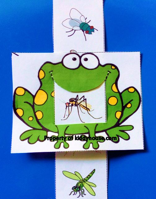 Frog Eating Activity Worksheet | kiddyhouse.com