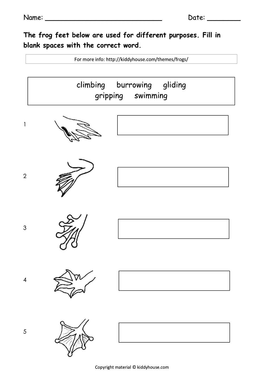 Types of Frog Feet Worksheet