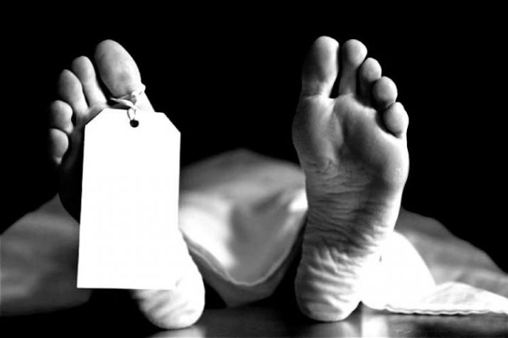 Ammonia gas leak at food processing plant in Goa