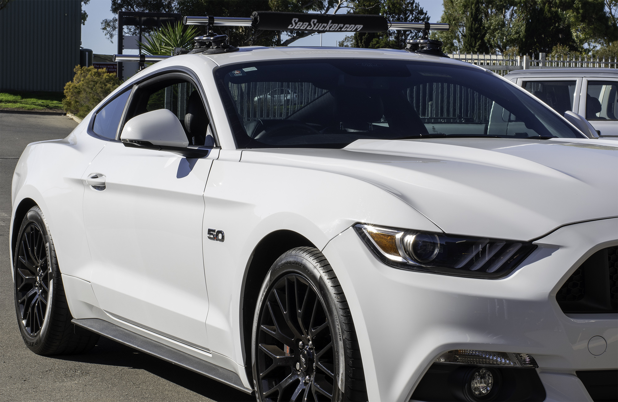 best bike rack ford mustang