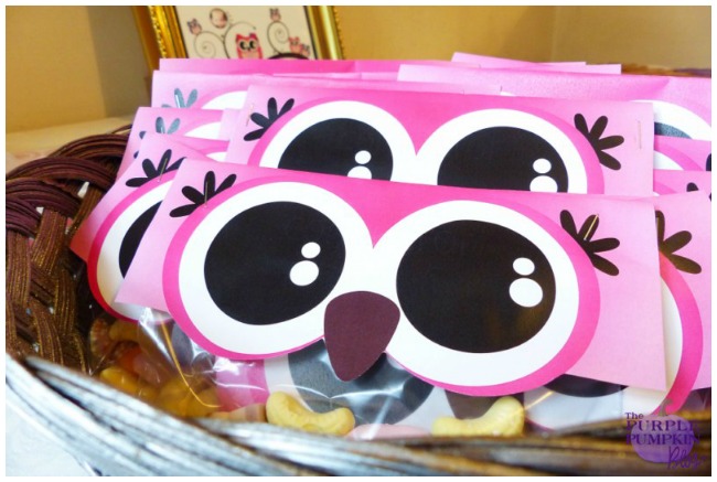 Popular Owl Birthday Party Ideas The Kids Will Love
