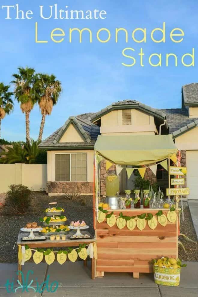 The Best Easy Diy Lemonade Stand Ideas