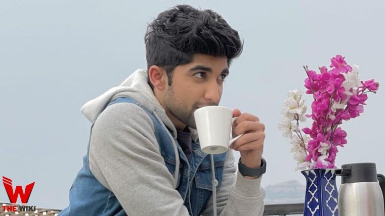 Nikhil Bhambri (Actor)