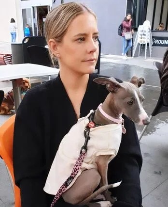 Image: Included Vaccine Dog
