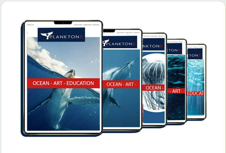 Immersive Ocean Galleries full of Art and Ocean Education, Treasure hunts, Exclusive Ocean Talks, Events, and much more. Launching soon.