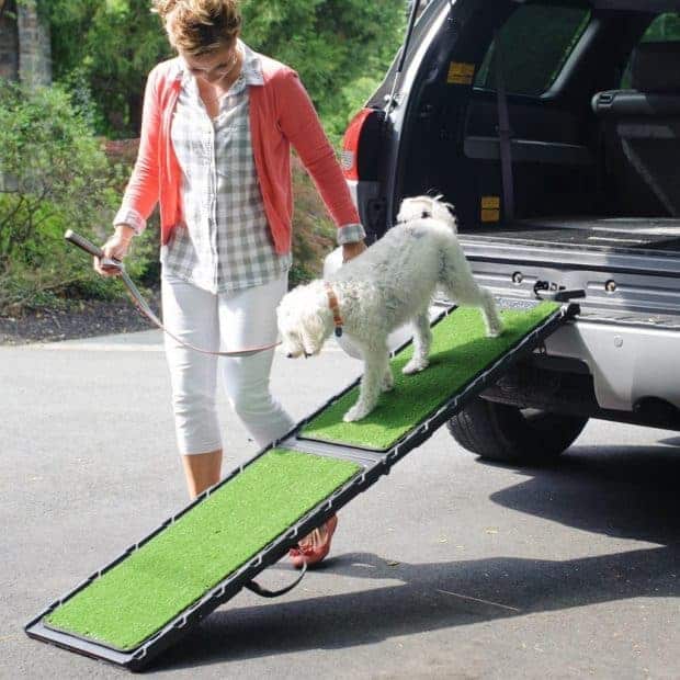 Top 5 Best Dog Ramps for The Car 2021 Reviews & Buyer's Guide