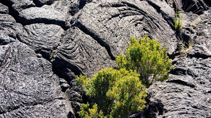 Que voir à La Réunion en plus des activités à faire