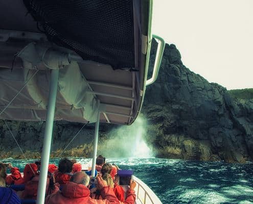 Pennicotts wilderness cruise on Three Capes Track