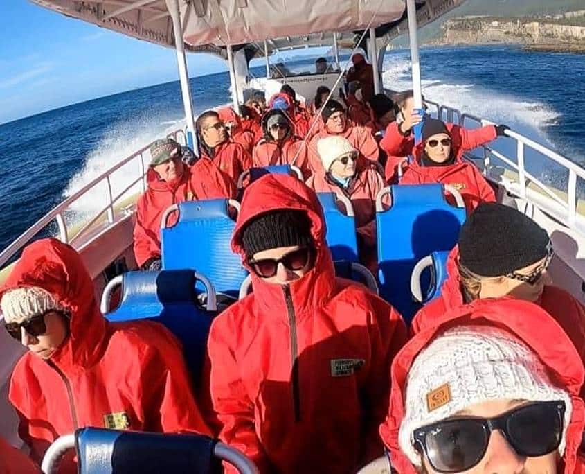 Pennicott Tasman Island wilderness cruise