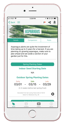 Asparagus: How to Grow and When to Plant in Your Backyard or Patio