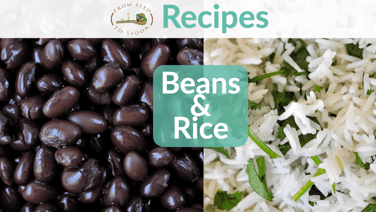 How We Make Our Bulk Supply of Rice & Beans Taste Uniquely Delicious