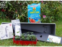 Food- und Gartenblog Topfgartenwelt Produkttest EMSA My City Garden mit Aqua Comfort-System - Test eines Balkonkastens mit Bewässerungssytem - Testbericht