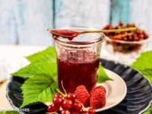 Himbeer-Johannisbeer-Marmelade ohne Kerne einkochen - Foodblog Topfgartenwelt