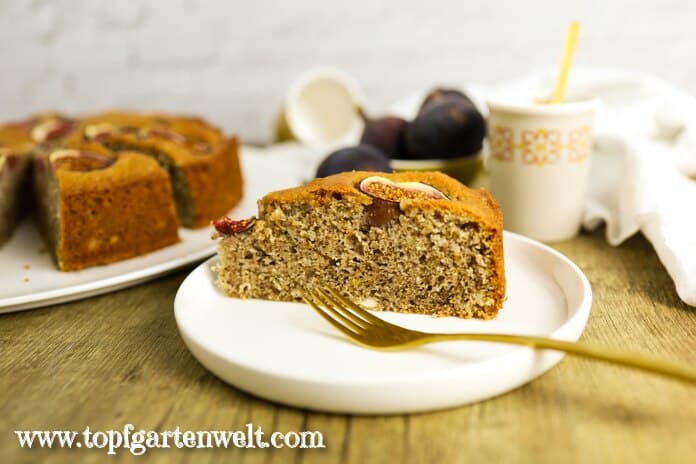 Feigenkuchen mit frischen Feigen und Walnüssen