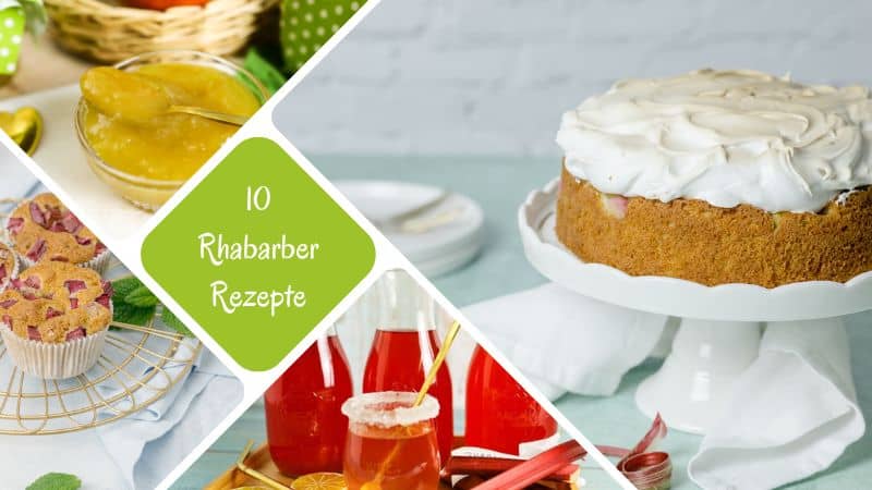 10 Rezepte mit Rhabarber eine Zusammenstellung von Ideen und Inspirationen.